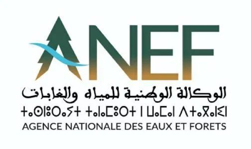 logo-ANEF-504x300-504x300-504x300_jpg.jpg-504x300.jpg-504x300